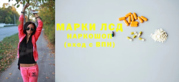 амф Вяземский