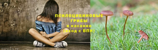 амф Вяземский