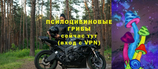 прущий лед Вязьма