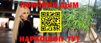 a pvp Долгопрудный
