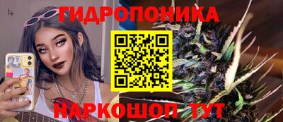 a pvp Долгопрудный
