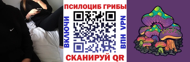 мега ТОР  Глазов  Галлюциногенные грибы Psilocybine cubensis  закладки 