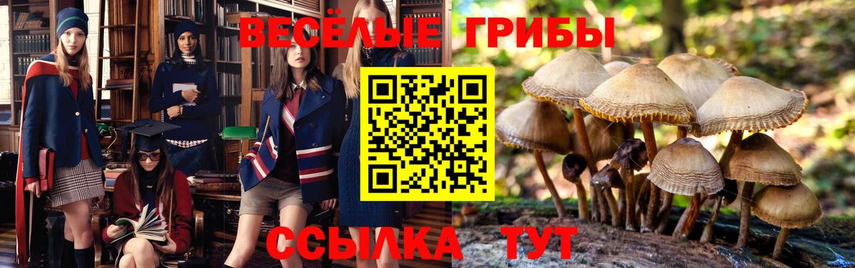Глазов  Псилоцибиновые грибы Magic Shrooms  Вход с VPN  Псилоцибиновые грибы мухоморы 